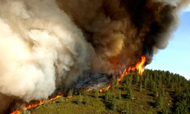 Wildfire in Metro Vancouver [titlebase]: Evacuation Alerts and Health Concerns Rise