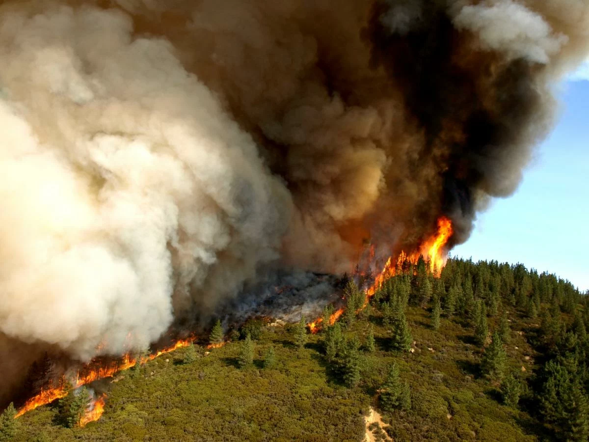 Wildfire in Metro Vancouver [titlebase]: Evacuation Alerts and Health Concerns Rise