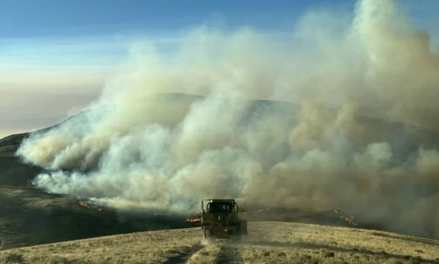 Wildfires Across Nevada, CA: A Growing Concern as Blazes Merge and Spread