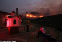 Wildfires Hit Belgium, Greece [titlebase]: Devastating Blazes Claim Lives and Destroy Landscapes